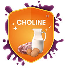 Choline