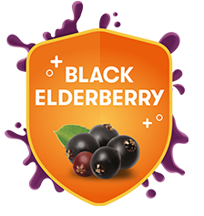 Black Elderberry
